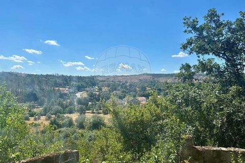 Villa a Aguiar da Beira, Guarda, Aguiar da Beira - € 48.000 | Ref: 126021187-9 - foto 8