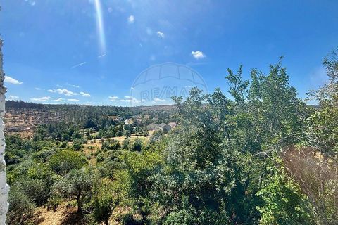 Villa a Aguiar da Beira, Guarda, Aguiar da Beira - € 48.000 | Ref: 126021187-9 - foto 18