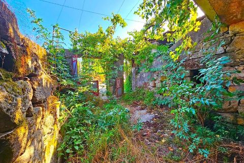 Villa a Castro Daire, Viseu, Castro Daire - € 25.000 | Ref: 126021008-206 - foto 5