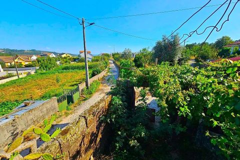 Villa a Castro Daire, Viseu, Castro Daire - € 25.000 | Ref: 126021008-206 - foto 6