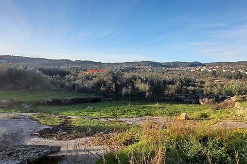 Farm hus i Sernancelhe, Viseu, Sernancelhe - € 39.900 | Ref: 126021103-2 - foto 9