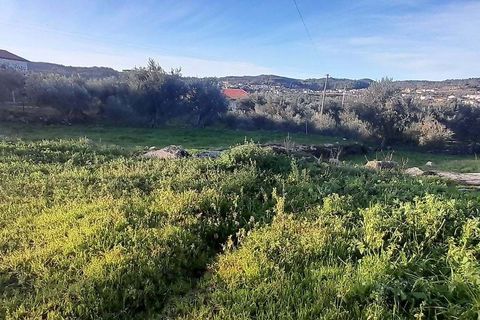 Farm hus i Sernancelhe, Viseu, Sernancelhe - € 39.900 | Ref: 126021103-2 - foto 10