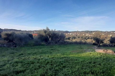 Farm hus i Sernancelhe, Viseu, Sernancelhe - € 39.900 | Ref: 126021103-2 - foto 13