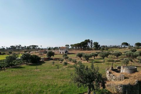 Farm hus i Seia, Guarda, Seia - € 99.000 | Ref: 126021033-55 - foto 3