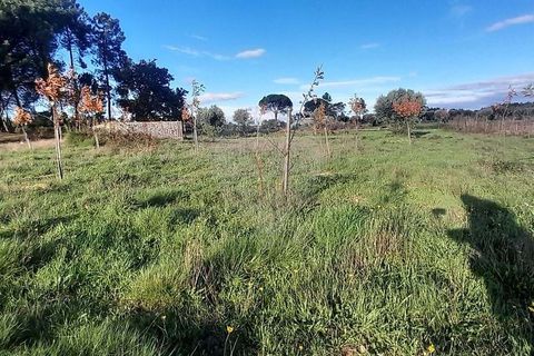 Farm hus i Seia, Guarda, Seia - € 99.000 | Ref: 126021033-55 - foto 4