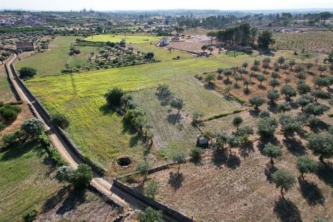 Farm hus i Seia, Guarda, Seia - € 99.000 | Ref: 126021033-55 - foto 6
