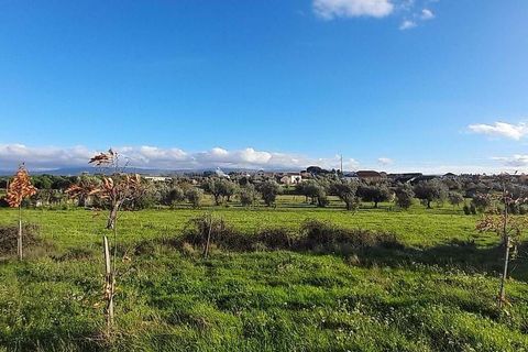 Farm hus i Seia, Guarda, Seia - € 99.000 | Ref: 126021033-55 - foto 8