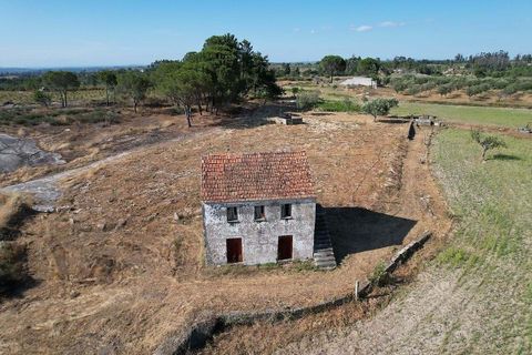 Farm hus i Seia, Guarda, Seia - € 99.000 | Ref: 126021033-55 - foto 10