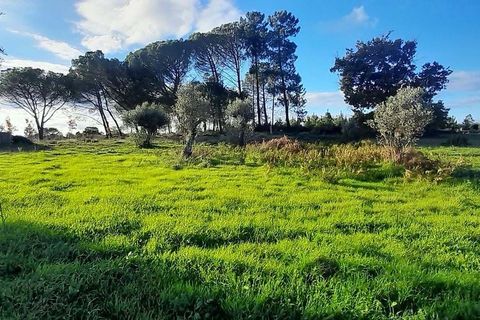 Farm hus i Seia, Guarda, Seia - € 99.000 | Ref: 126021033-55 - foto 11
