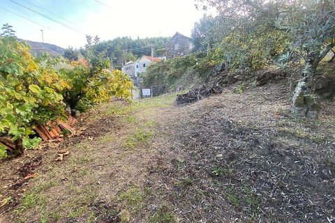 Villa a Vouzela, Viseu, Vouzela - € 30.000 | Ref: 126021008-179 - foto 5