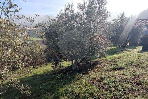 Villa a Vouzela, Viseu, Vouzela - € 30.000 | Ref: 126021008-179 - foto 6