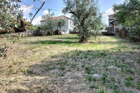 Villa a Vouzela, Viseu, Vouzela - € 250.000 | Ref: 126021071-7 - foto 6
