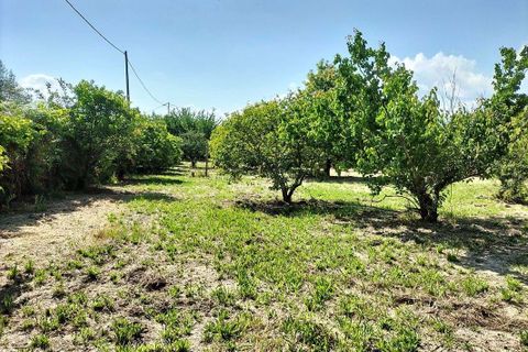 Villa a Vouzela, Viseu, Vouzela - € 250.000 | Ref: 126021071-7 - foto 8