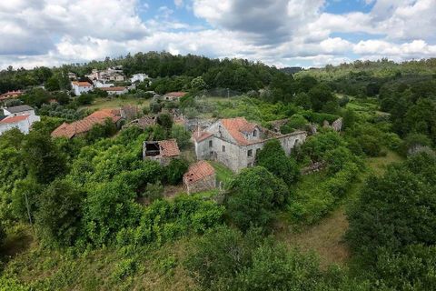 Villa a Penalva do Castelo, Viseu, Penalva do Castelo - € 99.999 | Ref: 126021073-3 - foto 7