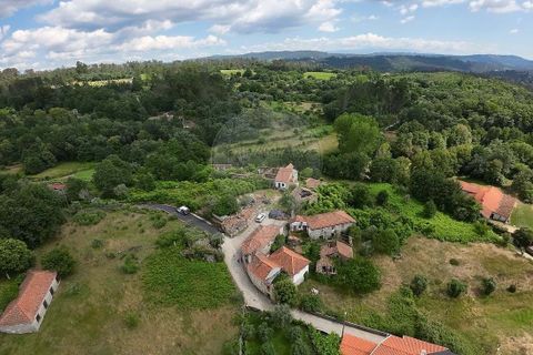 Villa a Penalva do Castelo, Viseu, Penalva do Castelo - € 99.999 | Ref: 126021073-3 - foto 10