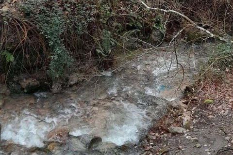 Farm hus i Seia, Guarda, Seia - € 260.000 | Ref: 126021033-17 - foto 20