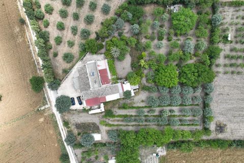 Villa i Noto, Siracusa, Noto - € 170.000 | Ref: L 2145 - foto 20