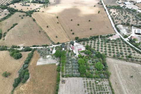 Villa i Noto, Siracusa, Noto - € 170.000 | Ref: L 2145 - foto 22