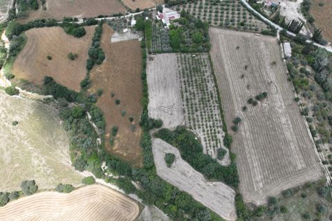 Villa i Noto, Siracusa, Noto - € 170.000 | Ref: L 2145 - foto 23