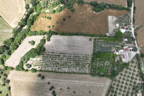 Villa i Noto, Siracusa, Noto - € 170.000 | Ref: L 2145 - foto 24