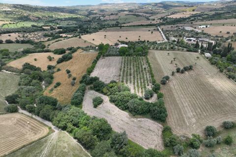 Villa i Noto, Siracusa, Noto - € 170.000 | Ref: L 2145 - foto 37