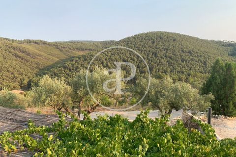 Farm hus i Alcoy, Alicante, Alcoy - € 575.000 | Ref: VV2511012 - foto 42