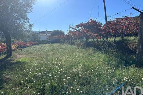 Helårsgrund i Ponte de Lima, Viana do Castelo, Ponte de Lima - € 114.000 | Ref: 722833 - foto 2