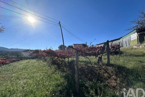 Helårsgrund i Ponte de Lima, Viana do Castelo, Ponte de Lima - € 114.000 | Ref: 722833 - foto 4