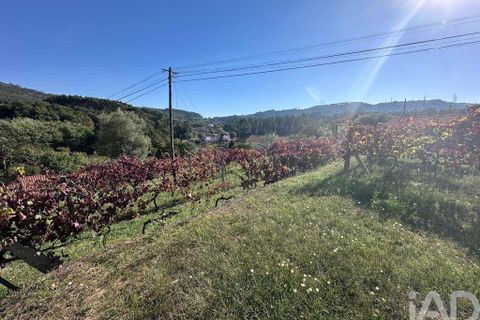 Helårsgrund i Ponte de Lima, Viana do Castelo, Ponte de Lima - € 114.000 | Ref: 722833 - foto 5