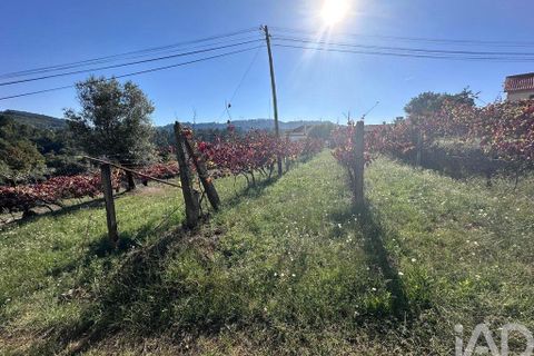 Helårsgrund i Ponte de Lima, Viana do Castelo, Ponte de Lima - € 114.000 | Ref: 722833 - foto 6