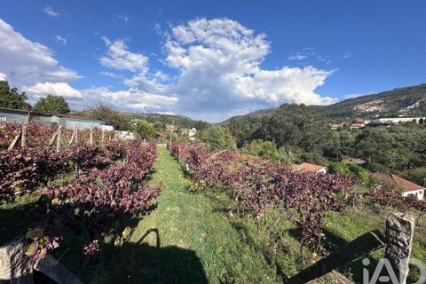 Helårsgrund i Ponte de Lima, Viana do Castelo, Ponte de Lima - € 114.000 | Ref: 722833 - foto 8