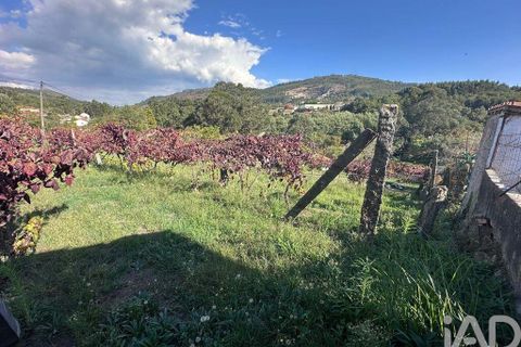 Helårsgrund i Ponte de Lima, Viana do Castelo, Ponte de Lima - € 114.000 | Ref: 722833 - foto 9
