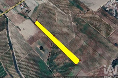 Terra a Covilha, Castelo Branco, Covilha - € 18.500 | Ref: 744976 - foto 2