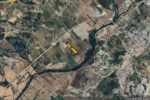 Terra a Covilha, Castelo Branco, Covilha - € 18.500 | Ref: 744976 - foto 3