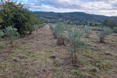 Terra a Covilha, Castelo Branco, Covilha - € 18.500 | Ref: 744976 - foto 7
