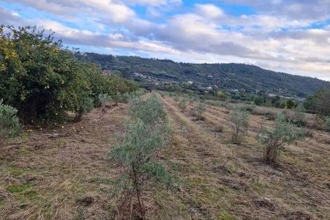 Terra a Covilha, Castelo Branco, Covilha - € 18.500 | Ref: 744976 - foto 11