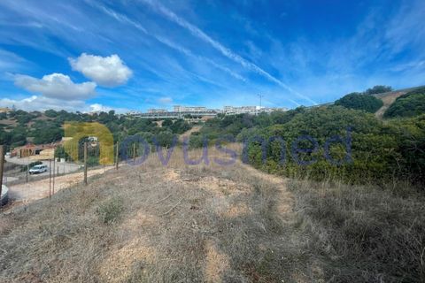 Helårsgrund i Albufeira, Faro, Albufeira - € 1.200.000 | Ref: LV-11 (PR-011) - foto 19