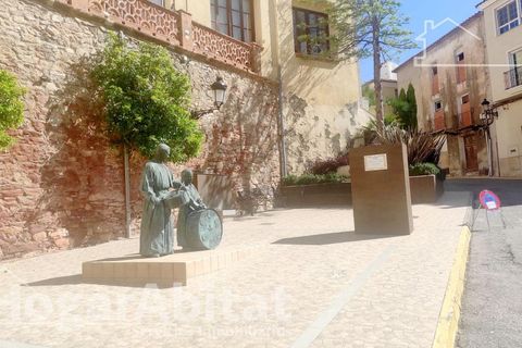 Villa i L'Alcora, Castellon, L'Alcora - € 22.500 | Ref: 119DOL22.OFPV-A/3716 - foto 41