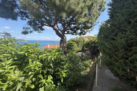Villa i Roquebrune-Cap-Martin, Alpes-Maritimes, Roquebrune-Cap-Martin - € 2.100.000 | Ref: HH-15977925 - foto 14