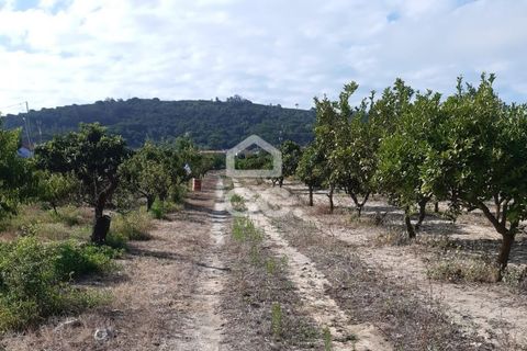 Helårsgrund i Palmela, Setubal, Palmela - € 409.000 | Ref: 407/T/00028 - foto 1