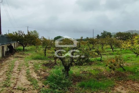 Helårsgrund i Palmela, Setubal, Palmela - € 409.000 | Ref: 407/T/00028 - foto 5
