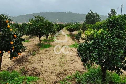 Helårsgrund i Palmela, Setubal, Palmela - € 409.000 | Ref: 407/T/00028 - foto 6