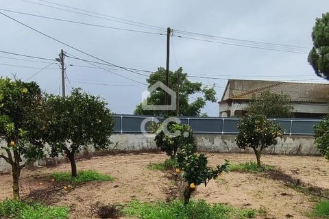 Helårsgrund i Palmela, Setubal, Palmela - € 409.000 | Ref: 407/T/00028 - foto 8