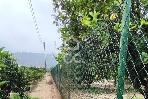 Helårsgrund i Palmela, Setubal, Palmela - € 409.000 | Ref: 407/T/00028 - foto 10