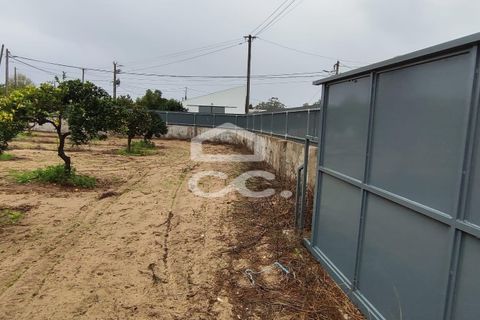 Helårsgrund i Palmela, Setubal, Palmela - € 409.000 | Ref: 407/T/00028 - foto 12