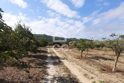 Helårsgrund i Palmela, Setubal, Palmela - € 409.000 | Ref: 407/T/00028 - foto 15