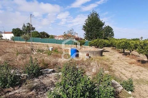 Helårsgrund i Palmela, Setubal, Palmela - € 409.000 | Ref: 407/T/00028 - foto 16