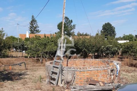 Helårsgrund i Palmela, Setubal, Palmela - € 409.000 | Ref: 407/T/00028 - foto 18