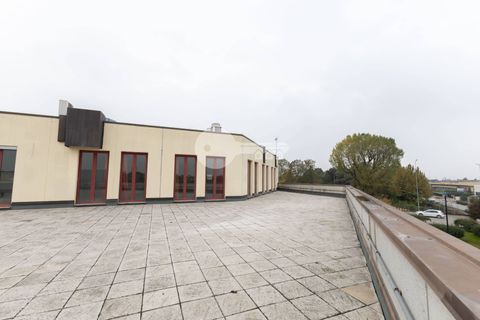 Erhvervsejendom i Gottolengo, Brescia, Gottolengo - € 1.200.000 | Ref: 6415062020-1287 - foto 6