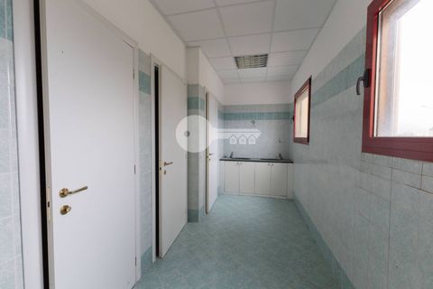 Erhvervsejendom i Gottolengo, Brescia, Gottolengo - € 1.200.000 | Ref: 6415062020-1287 - foto 29